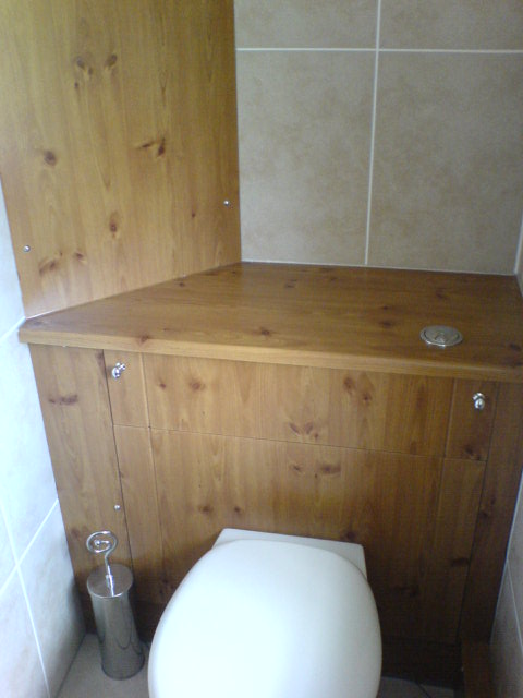 Full view of the loo with concealed cistern in the unit behind.